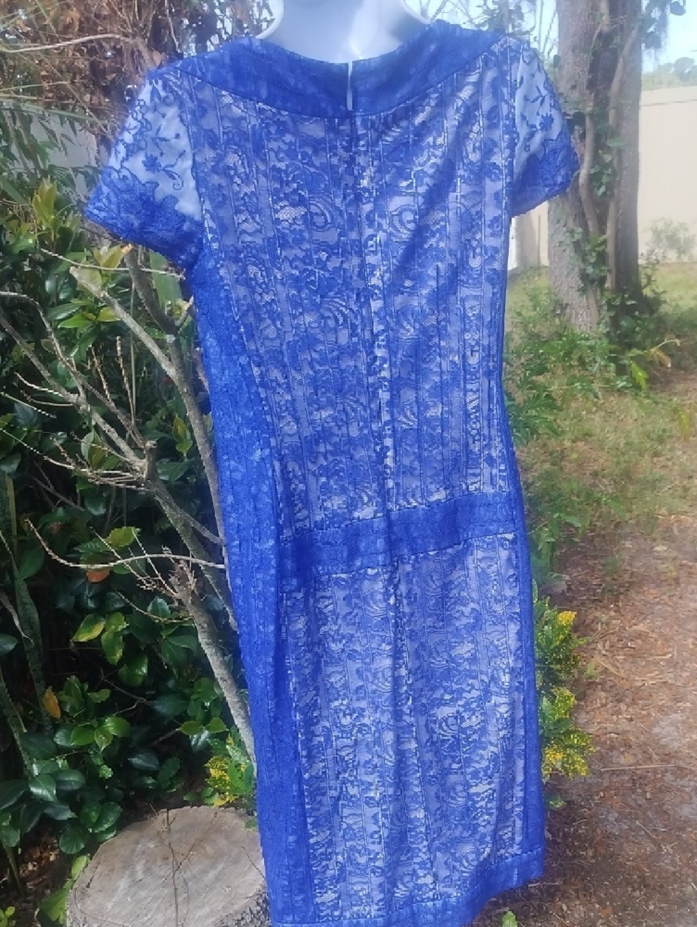 Tadashi Shoji Blue Lace Sheath Dress - Elegant Women's Dress Size 2 - Picture 11 of 13